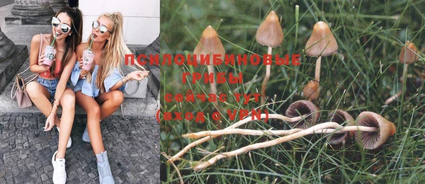 спайс Кукмор