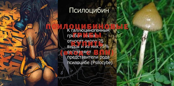 ECSTASY Володарск